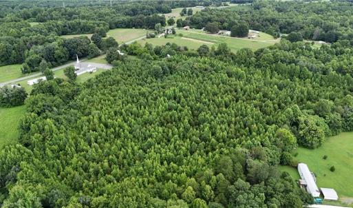Photo #5 of 1731 Sandy Cross, Reidsville, NC 44.2 acres