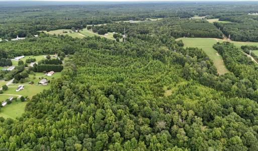 Photo #4 of 1731 Sandy Cross, Reidsville, NC 44.2 acres