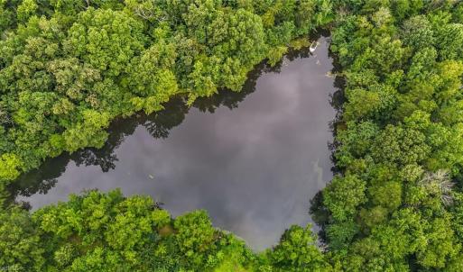 Photo #7 of 2621 Brim, Greensboro, NC 29.2 acres