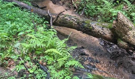 flowing streams