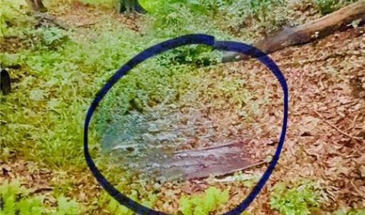 Fresh Water Spring Location