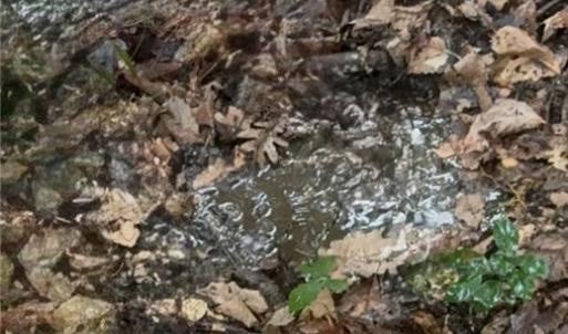 Fresh water spring