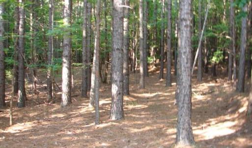 Photo #6 of High Pine Church, Asheboro, NC 32.1 acres