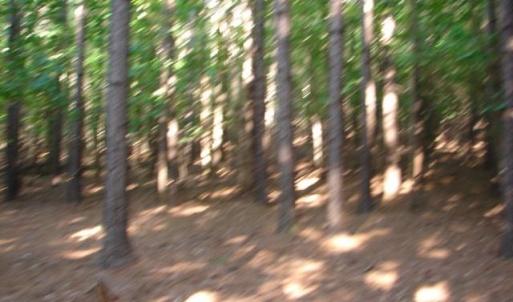 Photo #7 of High Pine Church, Asheboro, NC 32.1 acres