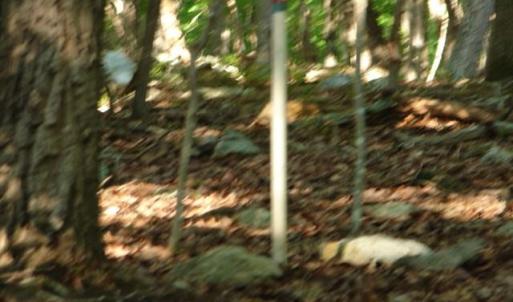 Photo #5 of High Pine Church, Asheboro, NC 32.1 acres