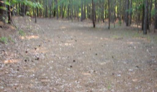 Photo #9 of High Pine Church, Asheboro, NC 32.1 acres