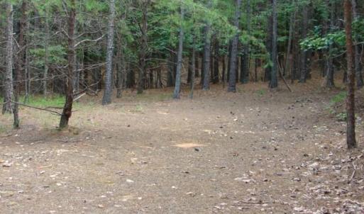 Photo #13 of High Pine Church, Asheboro, NC 32.1 acres
