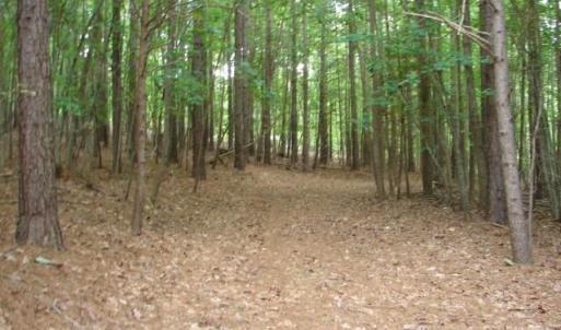 Photo #22 of High Pine Church, Asheboro, NC 32.1 acres