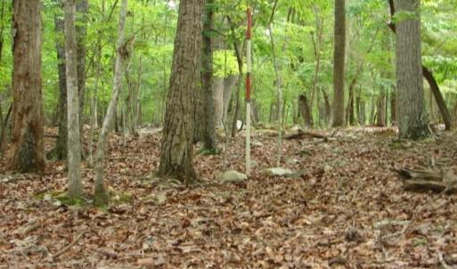 Photo #9 of High Pine Church, Asheboro, NC 32.1 acres