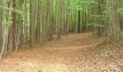 Photo #10 of High Pine Church, Asheboro, NC 32.1 acres