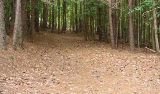 Photo #14 of High Pine Church, Asheboro, NC 32.1 acres