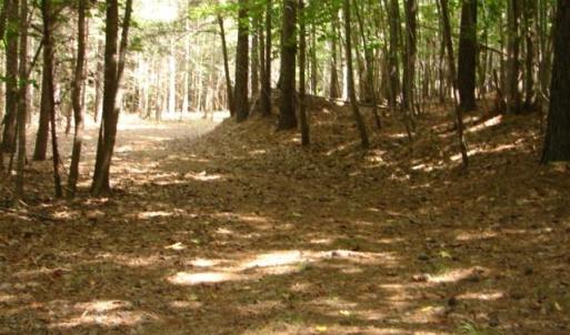 Photo #11 of High Pine Church, Asheboro, NC 32.1 acres