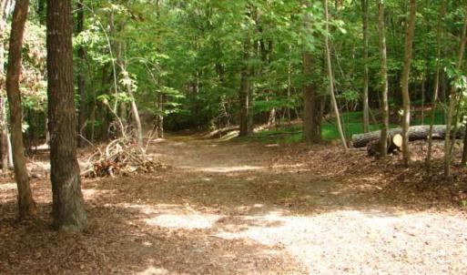 Photo #8 of High Pine Church, Asheboro, NC 32.1 acres
