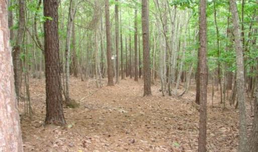Photo #21 of High Pine Church, Asheboro, NC 32.1 acres