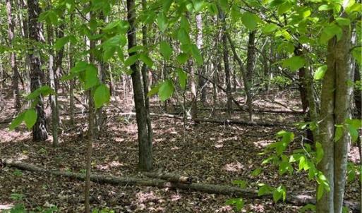 Photo #6 of Hardy, Harmony, NC 32.4 acres