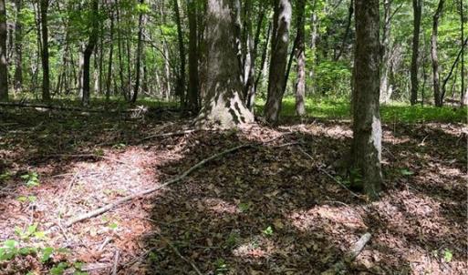 Photo #7 of Hardy, Harmony, NC 32.4 acres