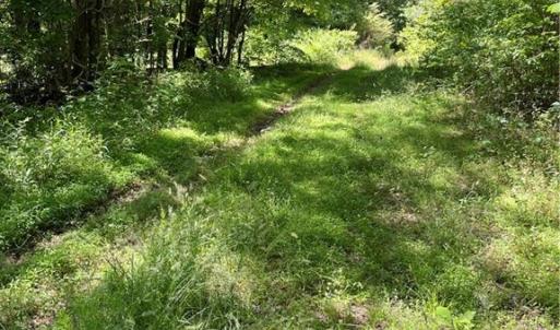 Photo #10 of Hardy, Harmony, NC 32.4 acres
