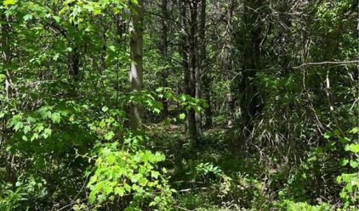 Photo #11 of Hardy, Harmony, NC 32.4 acres