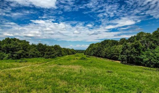 Photo #7 of NC Highway 65, Reidsville, NC 44.7 acres