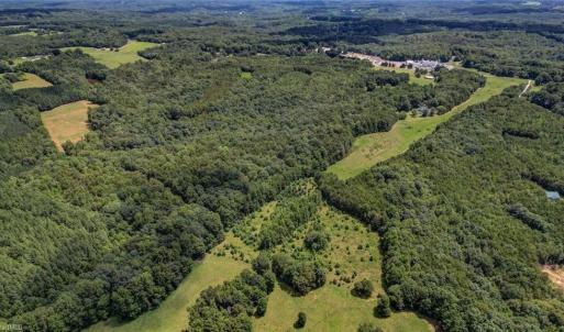 Photo #3 of NC Highway 65, Reidsville, NC 44.7 acres