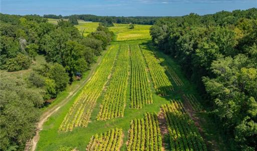 Photo #9 of High Point, Kernersville, NC 15.0 acres