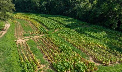 Photo #10 of High Point, Kernersville, NC 15.0 acres