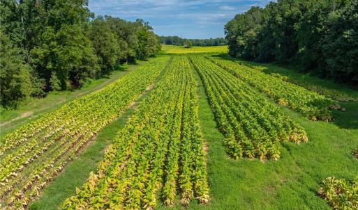 Photo #11 of High Point, Kernersville, NC 15.0 acres