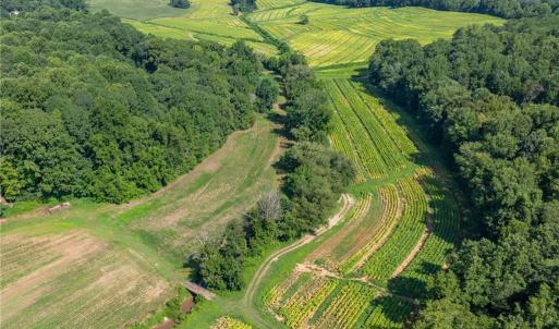 Photo #6 of High Point, Kernersville, NC 15.0 acres