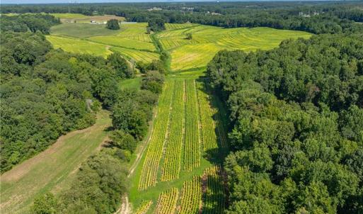 Photo #8 of High Point, Kernersville, NC 15.0 acres