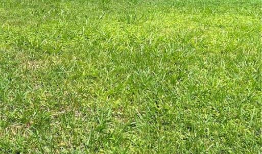 Photo #1 of 1703 Lincoln, Greensboro, NC 0.2 acres