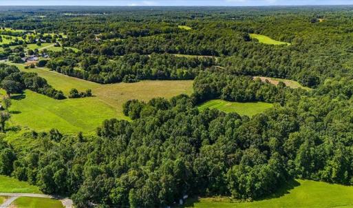 Photo #6 of 1740 NC Highway 61, Whitsett, NC 28.8 acres