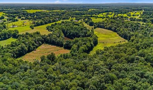 Photo #5 of 1740 NC Highway 61, Whitsett, NC 28.8 acres