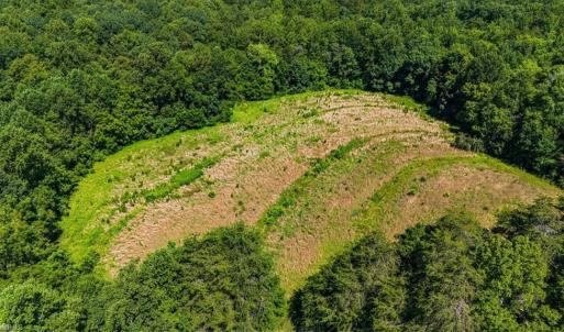 Photo #10 of 1740 NC Highway 61, Whitsett, NC 28.8 acres