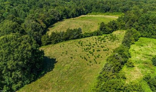 Photo #9 of 1740 NC Highway 61, Whitsett, NC 28.8 acres