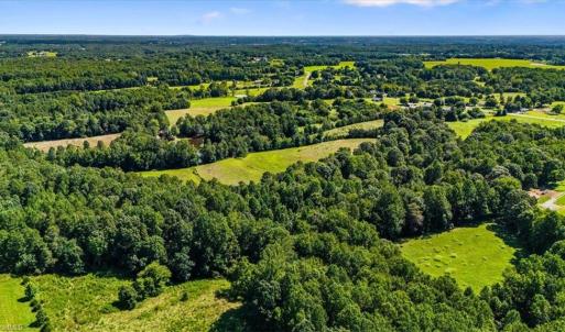 Photo #4 of 1740 NC Highway 61, Whitsett, NC 28.8 acres