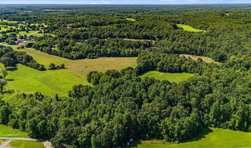 Photo #6 of 1740 NC Highway 61, Whitsett, NC 28.8 acres