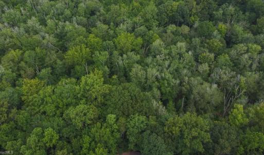 Photo #2 of 7400 & 7400 ZZ Haw Ridge, Summerfield, NC 8.5 acres