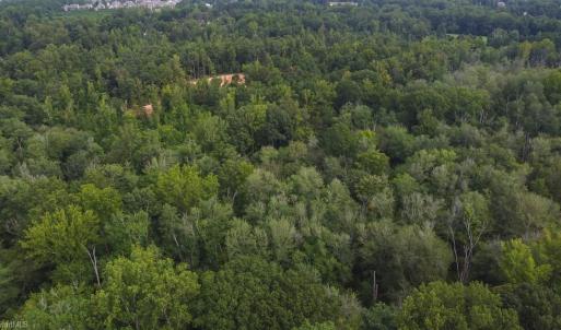 Photo #12 of 7400 & 7400 ZZ Haw Ridge, Summerfield, NC 8.5 acres