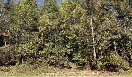 Photo #3 of 5713 US Highway 64, Ramseur, NC 15.0 acres