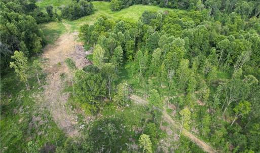Photo #12 of NC Highway 49, Denton, NC 60.0 acres