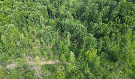 Photo #24 of NC Highway 49, Denton, NC 60.0 acres