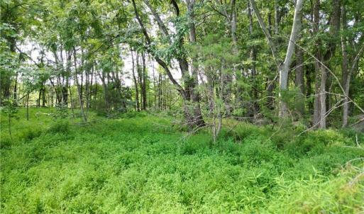 Photo #18 of NC Highway 49, Denton, NC 60.0 acres