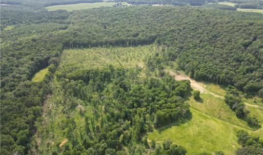 Photo #4 of NC Highway 49, Denton, NC 60.0 acres