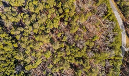 Photo #9 of 642 Whisper Lake, New London, NC 1.1 acres