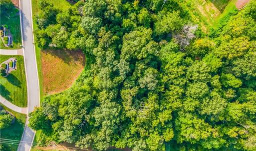 Photo #9 of 163 Emily, High Point, NC 3.3 acres