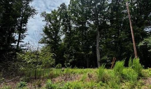 Photo #6 of Piney Mountain, Walnut Cove, NC 5.4 acres