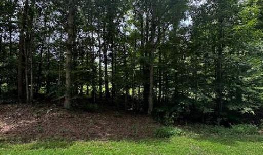 Photo #5 of Piney Mountain, Walnut Cove, NC 5.4 acres