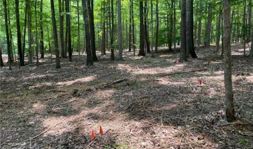Photo #2 of 4.5 Acres off Kelly Brewer, Leasburg, NC 4.5 acres