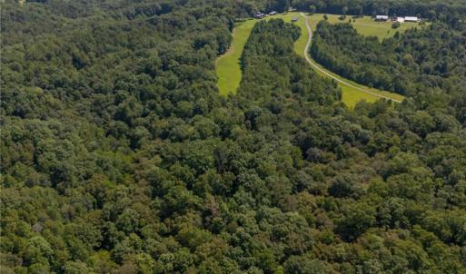 Photo #6 of 1392 Mission, Danbury, NC 18.3 acres