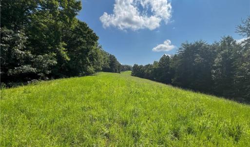 Photo #14 of 1392 Mission, Danbury, NC 18.3 acres